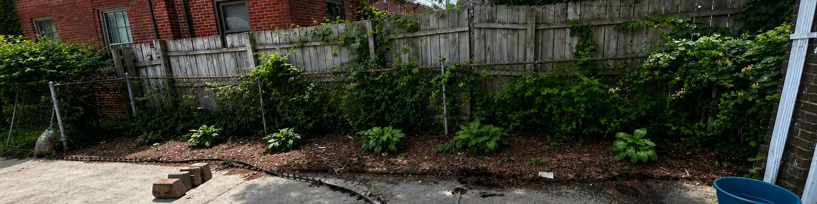 Before: messy, overgrown bed along a fence