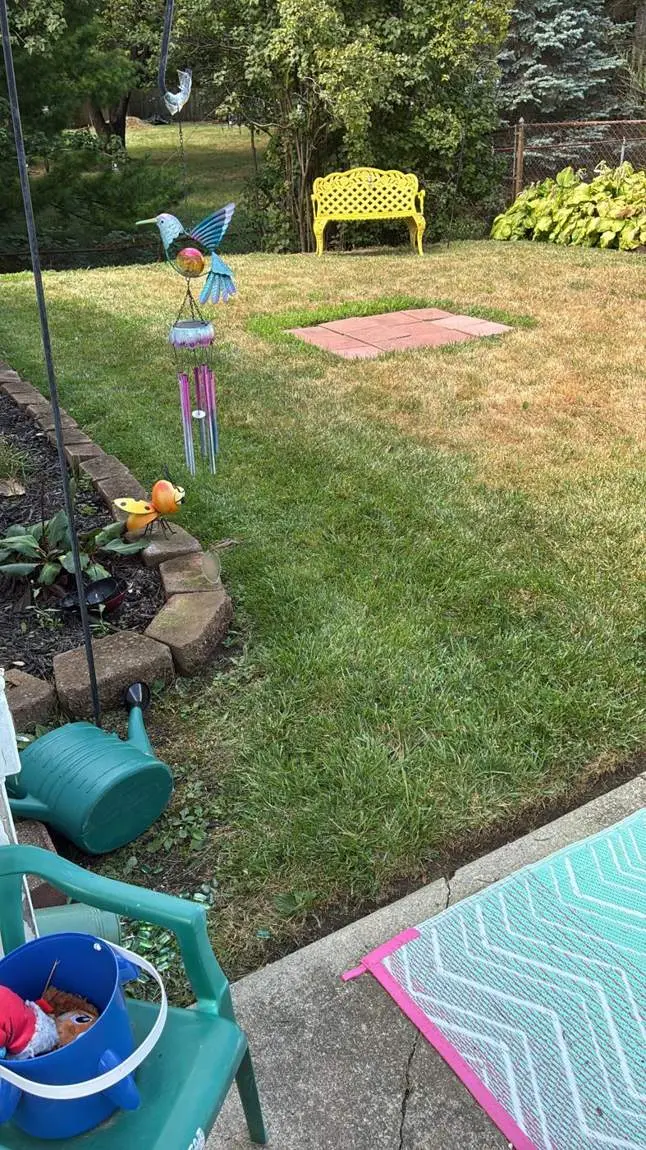 Backyard lawn and garden bed