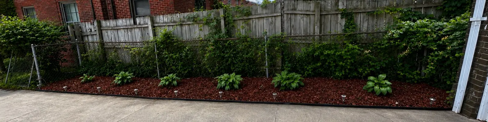 After: clean mulch bed with edging and path lights