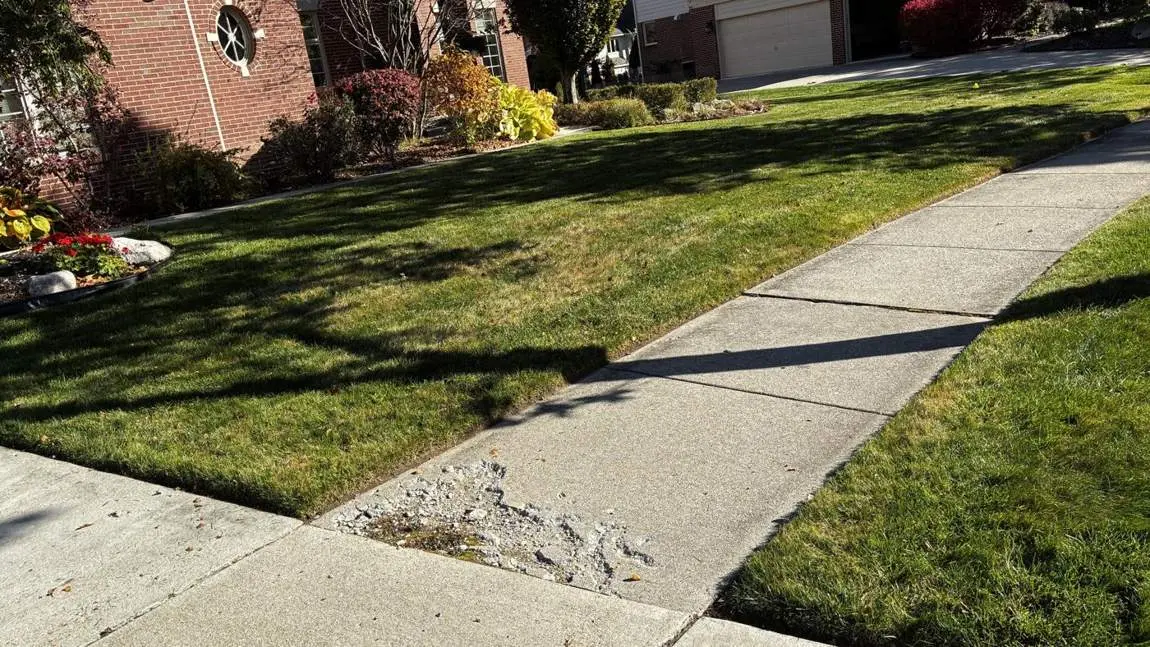 Mowed lawn on a Metro Detroit street